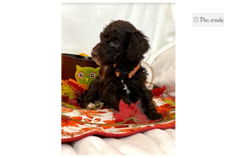 Aging is a beautiful challenging unique process essays image