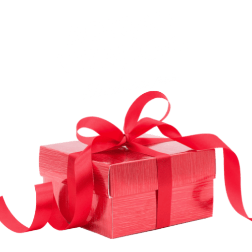 Acesso Vitalício + Atualizações