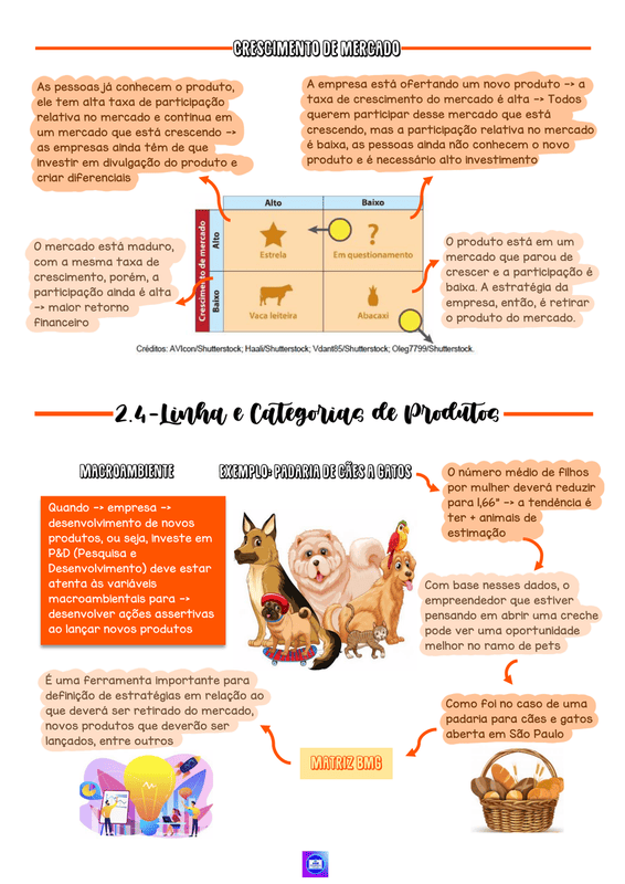 Amostra de resumo 1