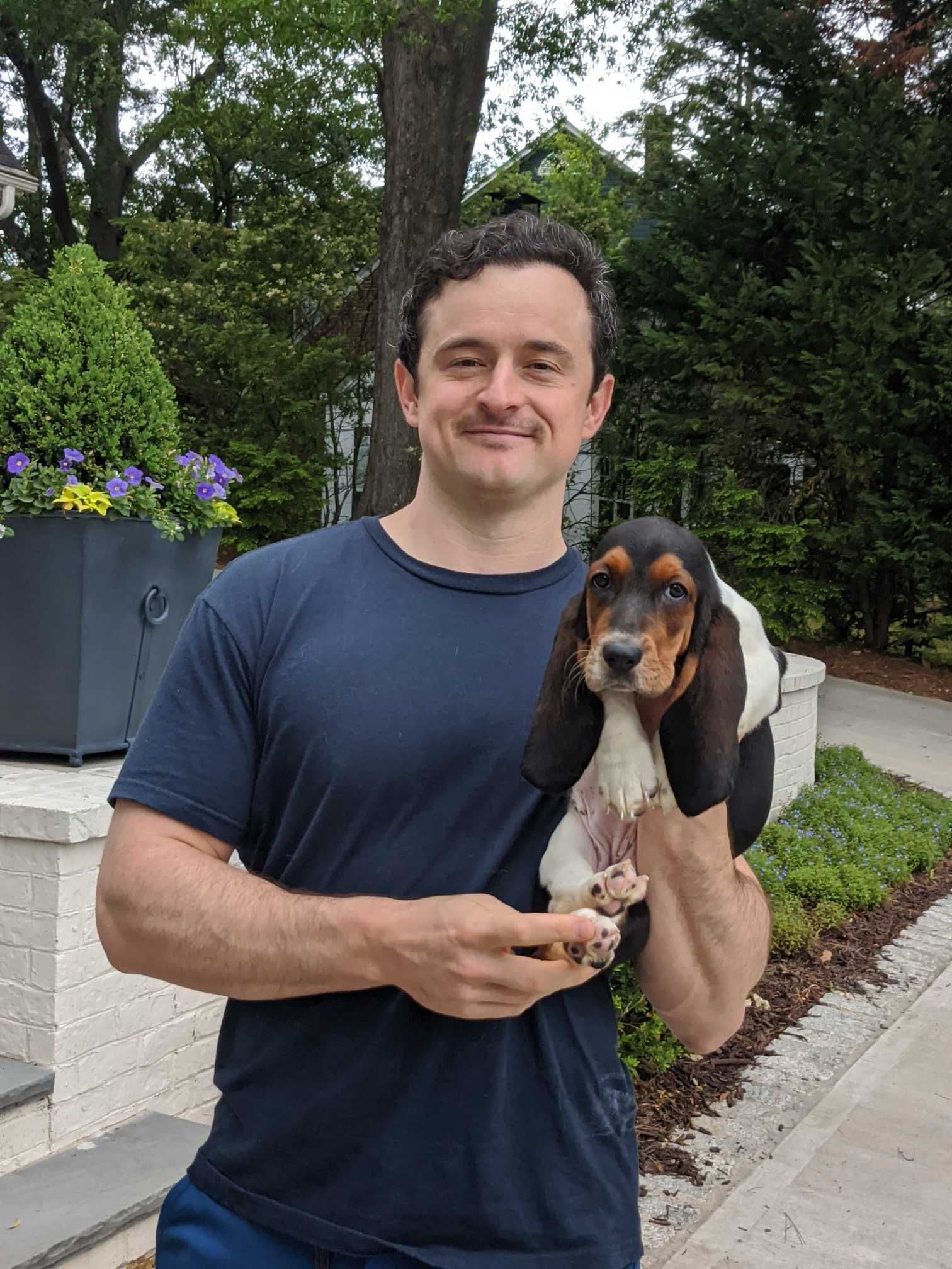 Basset Hound Reviews