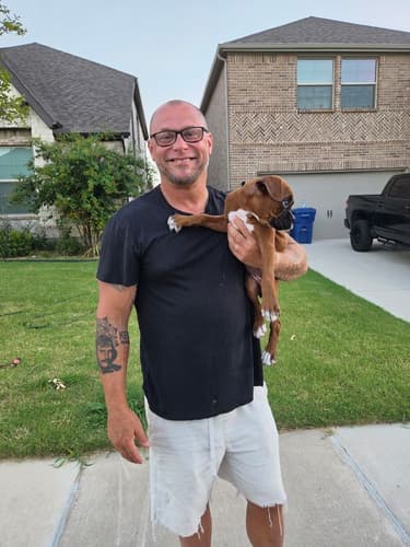 Pawrade customer Mike T. with their Boxer puppy