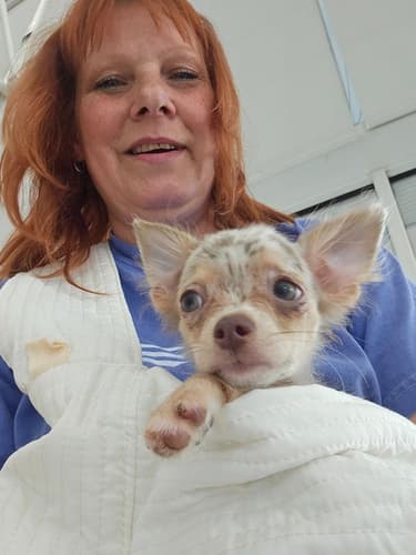 Pawrade Customer Testimonial for Weston