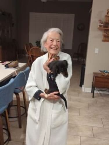 Pawrade Customer Testimonial for Moss