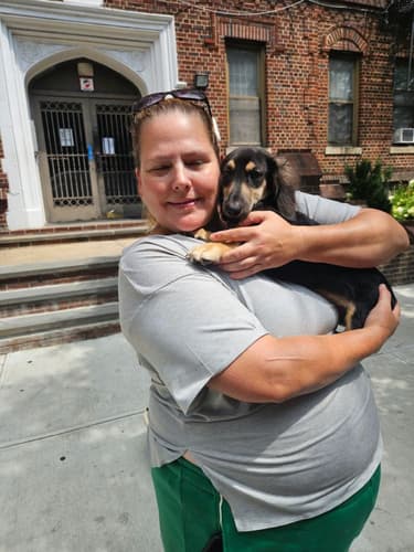 Pawrade customer Christine T. with their Dachshund, Mini puppy