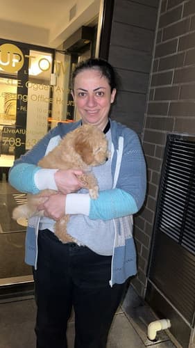 Pawrade Customer Testimonial for Tenyson