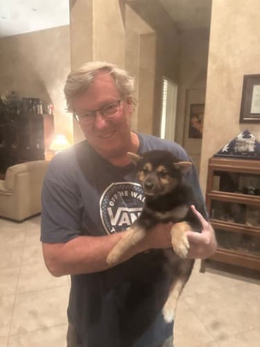 Pawrade Customer Testimonial for Tarek