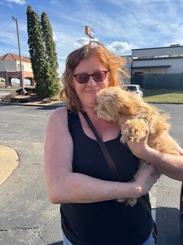 Pawrade customer Stacey H. with their Malti Poo - Maltipoo puppy