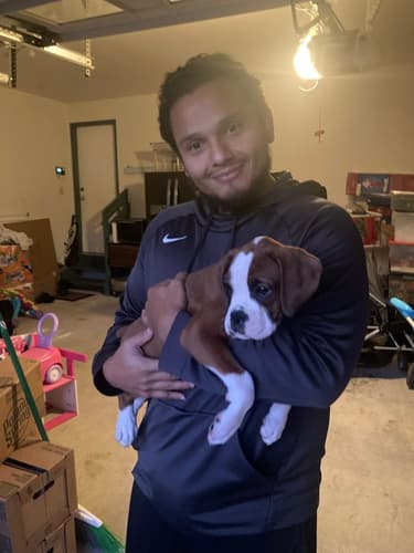 Pawrade Customer Testimonial for Armin