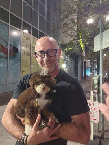 Pawrade customer Jonathan M. with their Bernedoodle, Mini puppy