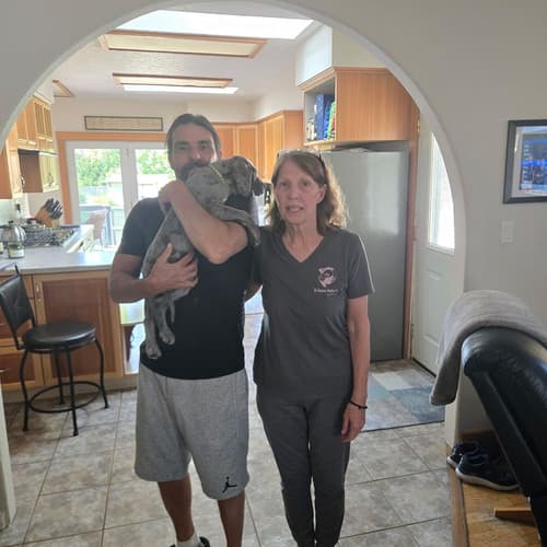 Pawrade customer Loriann S. with their Great Dane puppy