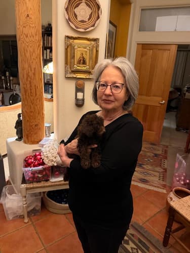 Pawrade customer Katherine B. with their Poodle, Toy puppy