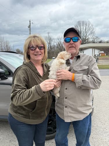 Pawrade customer Melissa C. with their Goldendoodle, Mini puppy