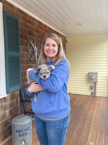 Pawrade Customer Testimonial for Van