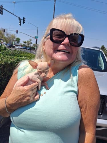 Pawrade Customer Testimonial for Hermione