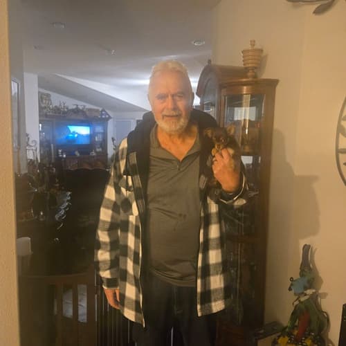 Pawrade Customer Testimonial for Ellie