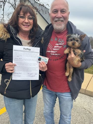 Pawrade Customer Testimonial for Anson