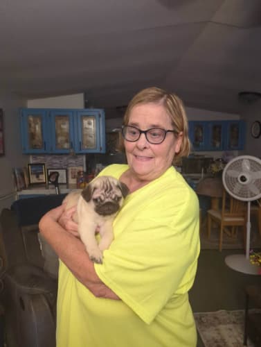 Pawrade customer Linda A. with their Pug puppy
