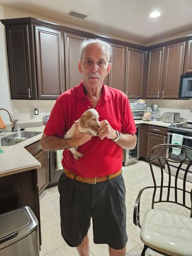 Pawrade Customer Testimonial for Jemma