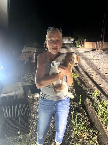 Pawrade customer Vallee R. with their Cavalier King Charles Spaniel puppy