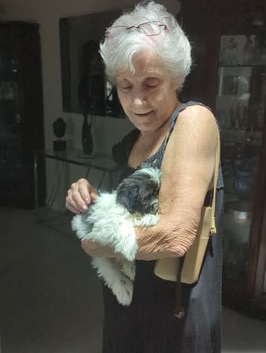 Pawrade Customer Testimonial for Julian