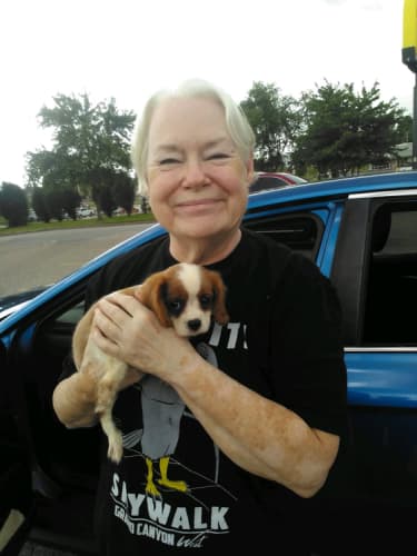 Pawrade customer Cherl L. with their Cavalier King Charles Spaniel puppy
