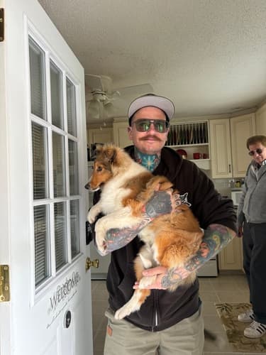 Pawrade customer Michael L. with their Shetland Sheepdog - Sheltie puppy