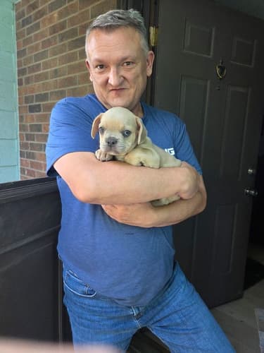 Pawrade customer Lenn G. with their Frenchton puppy