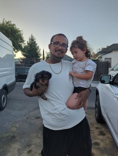 Pawrade Customer Testimonial for Dahlia