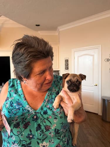 Pawrade customer Debbie H. with their Pug puppy