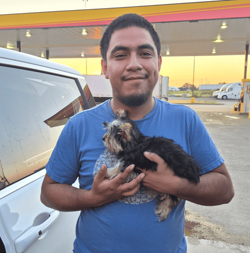 Pawrade customer Paul A. with their Shorkie puppy