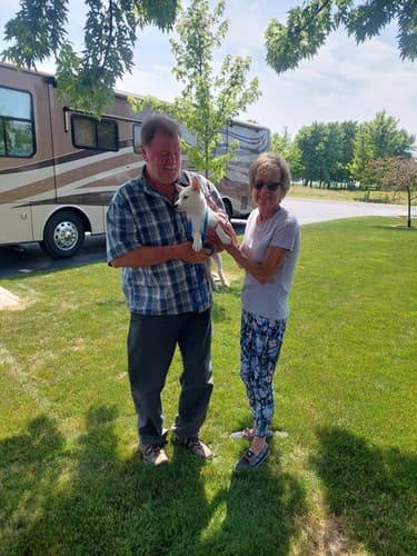 Pawrade Customer Testimonial for Titus