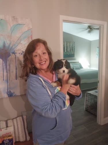 Pawrade Customer Testimonial for Thomas