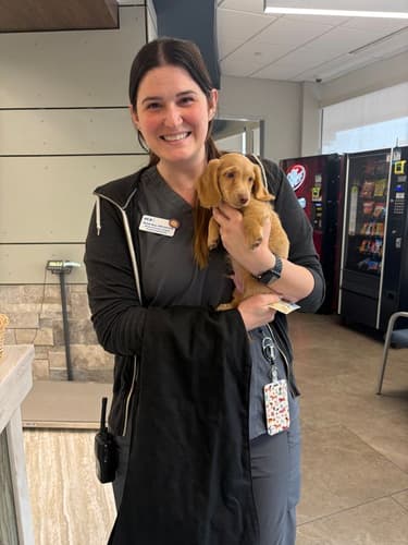 Pawrade customer Michelle M. with their Dachshund, Mini puppy