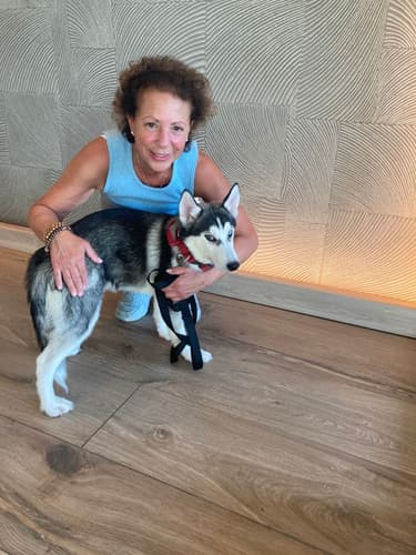 Pawrade customer Angela V. with their Siberian Husky puppy