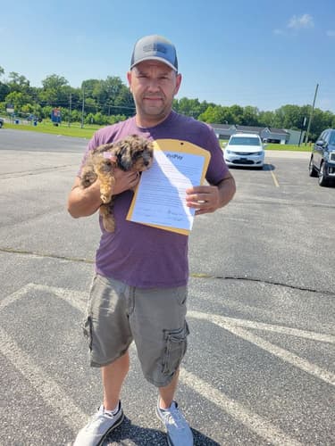 Pawrade Customer Testimonial for Alissa