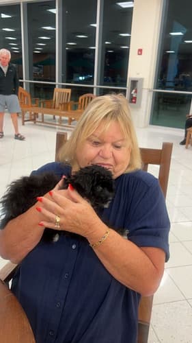 Pawrade Customer Testimonial for Austin