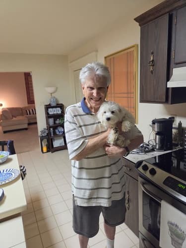 Pawrade customer Kirby M. with their Coton De Tulear puppy