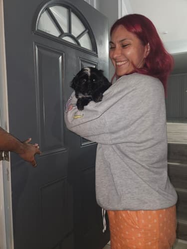 Pawrade customer Angelica G. with their Shih Tzu puppy