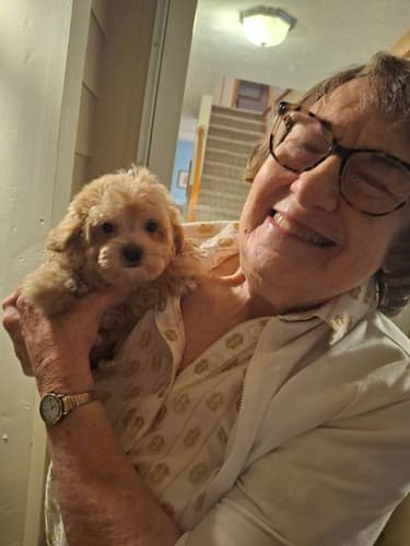 Pawrade customer Mary P. with their Havapoo puppy