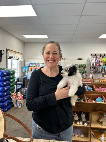 Pawrade Customer Testimonial for Brooks