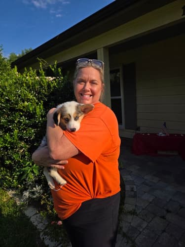 Pawrade customer Darby H. with their Corgi, Pembroke Welsh puppy