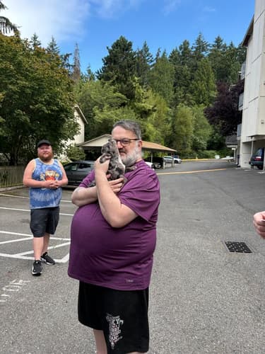 Pawrade customer Bub P. with their French Bulldog puppy