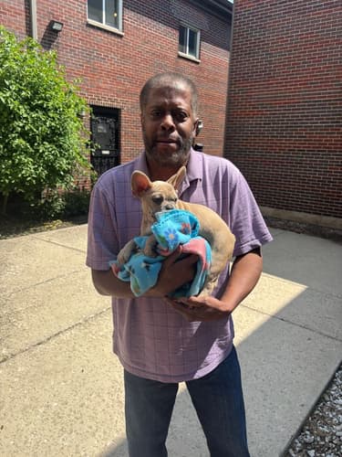 Pawrade Customer Testimonial for Dominic