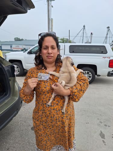 Pawrade Customer Testimonial for Ken