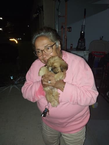 Pawrade customer Ana M. with their Shih Tzu puppy