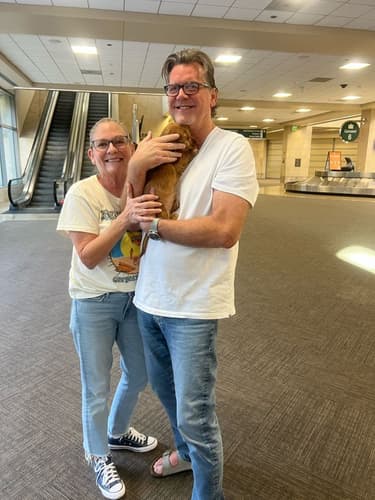 Pawrade Customer Testimonial for Domino