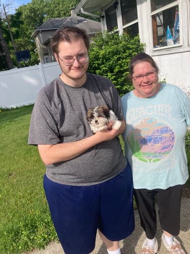 Pawrade customer Shirley B. with their Shih-Poo - Shihpoo puppy