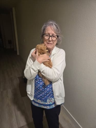 Pawrade Customer Testimonial for Lucas