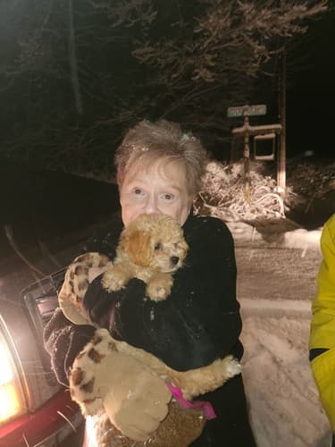 Pawrade Customer Testimonial for Bennett