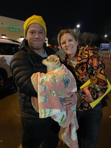 Pawrade Customer Testimonial for Sebastian